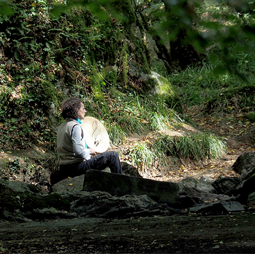 Méditation en pleine nature